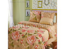 ������ ���� �������.jpg