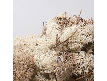 ��� ������������ 50 �, ���� �����-����, ���. 5480148 260�.jpg