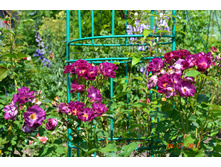 ������� ����� �����