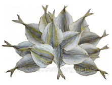 ������ ��������� ���-���.jpg