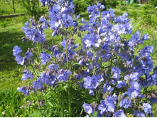 ������.������� 80