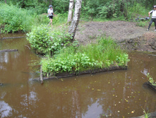 DSCN1317.JPG