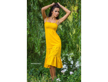 ����-������� ��������� ������ (������� �������)