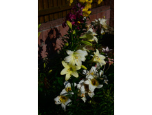 ���� 2015-27 109.JPG