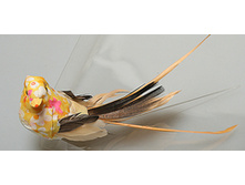 ������ 12�� 595�.jpg