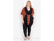 ������ V006.6.jpg