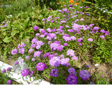 P1040112.JPG ������