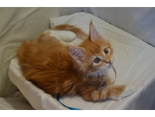 2 ������