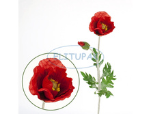 ��002200 ��� ������� 75 �� (12 ��.� ���.)(Mbox 216 ��.) 172�.jpeg