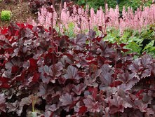 ������� ������������ ����� ����� 120