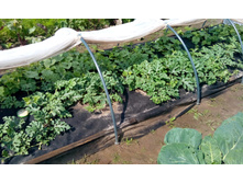 IMG 20150715 140728.jpg