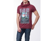 MTS-248FORCE �����.jpg