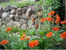 �������� 80