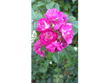 20150627 190452.jpg