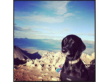 ������� ������.jpg