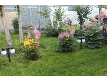 IMG 0061.JPG
