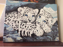 49423 800x600 097.jpg