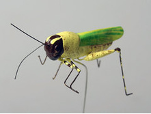 �������� 12�� 190�.jpg