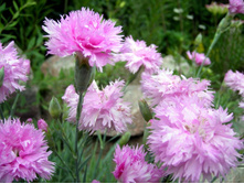 �������� �������� 90