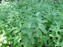 �������.60