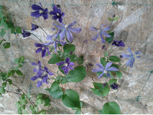 20150711 172405.jpg