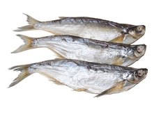 ������ ������� �������.jpg