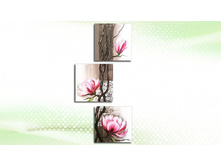 099325� 164425�.jpg