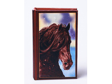 �������� ������ ����� ���� 17X11X5�� 480416 400�.jpg