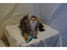 2 ������