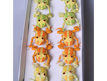 ����� ������� 12 �� 284042A 300�.jpg