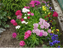 �������� ��������. ����� 70