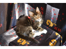 2 ������