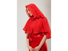 ������ 3106 (�������).jpg