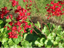 ������� ������� ������� 110�