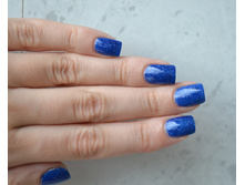 PP Freyas cats 2015.JPG