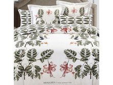 5558/2 ��� 2�� (Colibri) �(2)70*70 �(2)50�70 �� ����� �����