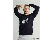 GS1267-12 ������� Fox (������).jpg