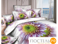 Famille fam46660.jpg