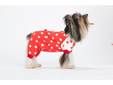 ���������� ����������. ����	650	���.