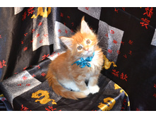 2 ������