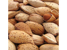 ������� ������� � �������� (�����), 0,25 ���