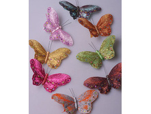 ������� 12�� 300�.jpg