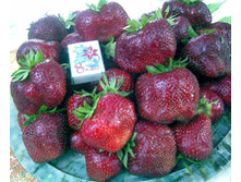 ��������� ������ ������� NEW 50,00 ���..jpg