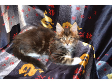 2 ������