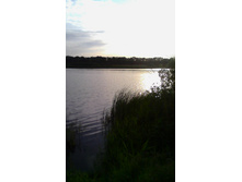 ����� ���������