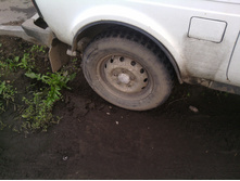 IMG 20150708 073830.jpg