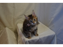 2 ������