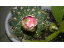 WP 20150720 19 47 55 Pro.jpg