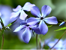 ����� ������������� ��� ������ 90