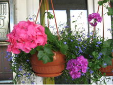 ������������ ����������